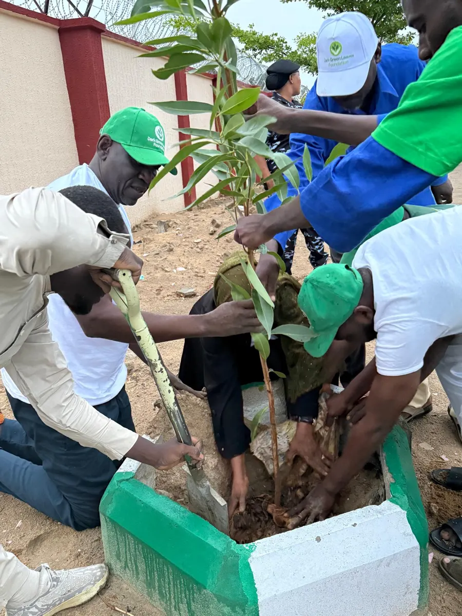 DGLI planting