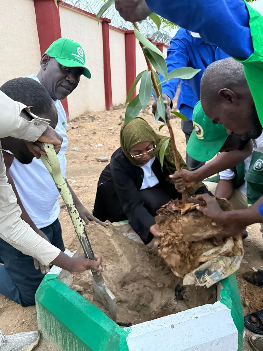 DGLI team planting