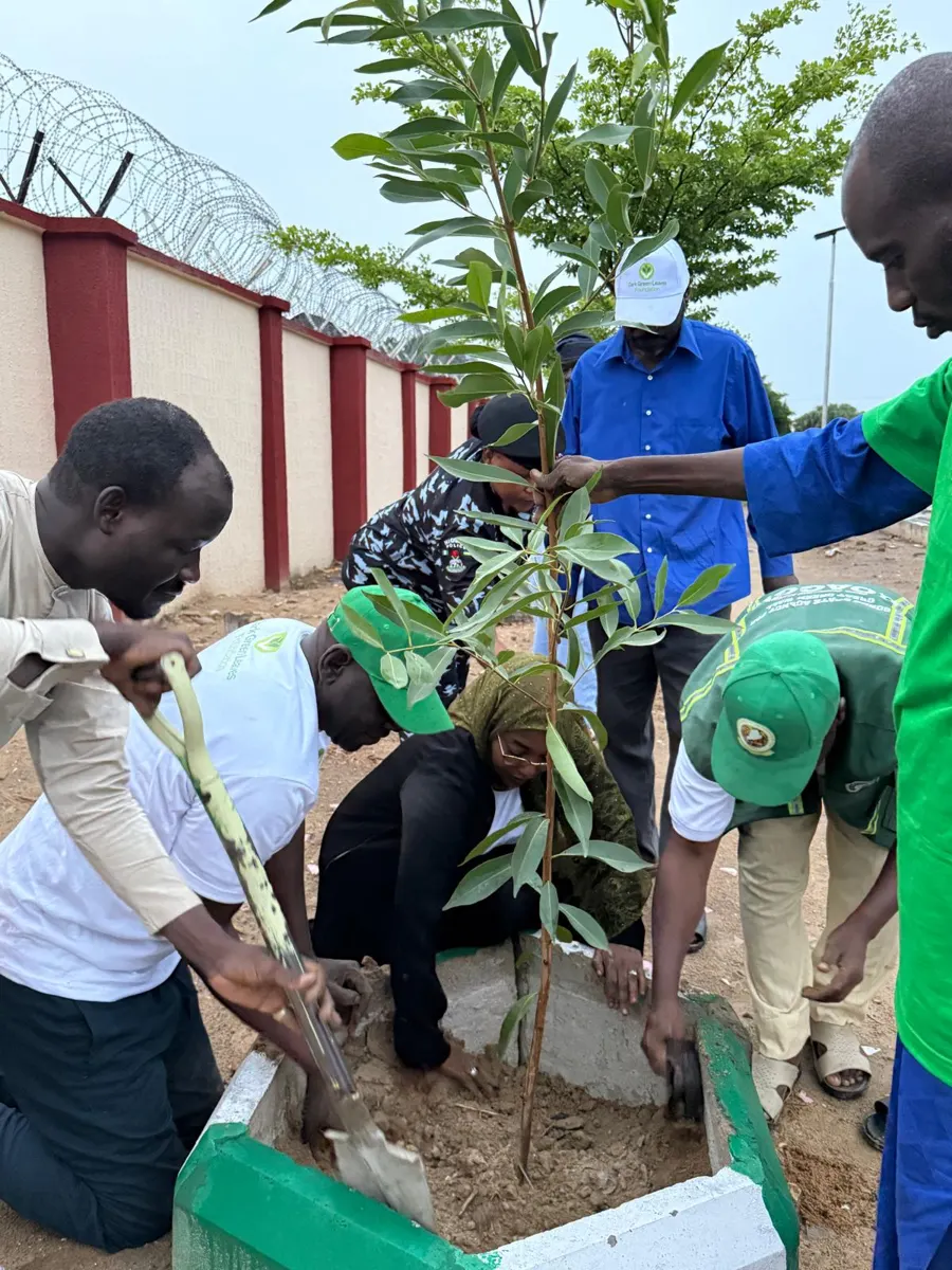 Volunteer activity